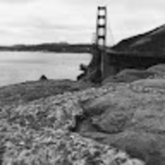 Meet your Posher, Itz - Picture 1 of 1